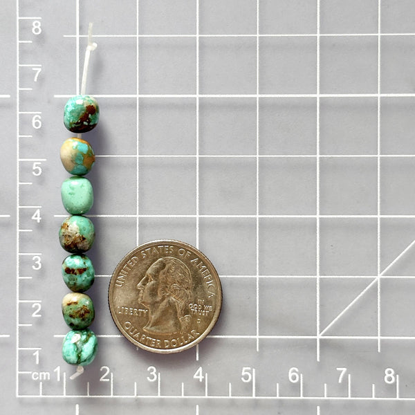 Sea Green Fox Turquoise Nugget Beads Dimensions
