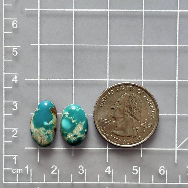 Small Mint Green Mixed Fox Turquoise, Set of 2 Dimensions