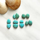 Small Sky Blue Mixed Lone Mountain Turquoise, Set of 12 Background