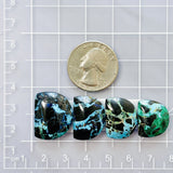 Large Sky Blue Half Moon Yungai Turquoise, Set of 4 Dimensions