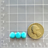 Small Sky Blue Freeform Sleeping Beauty Turquoise, Set of 3 Dimensions
