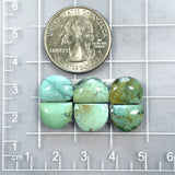 Small Faint Green Half Moon Mixed Turquoise, Set of 6 Dimensions