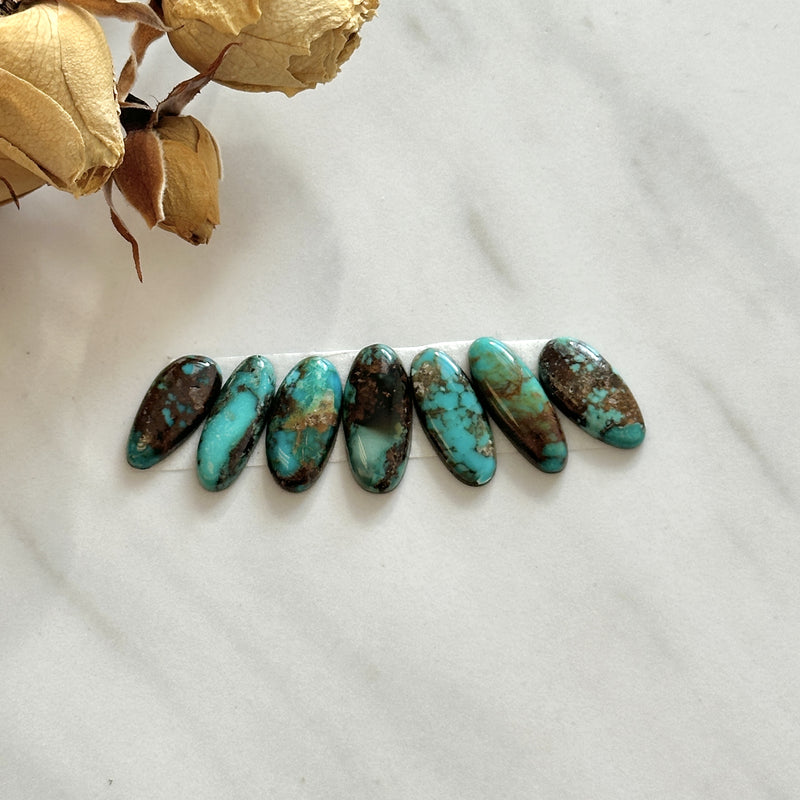 Medium Mixed Mixed Royston Turquoise, Set of 7 Background