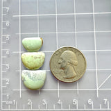 Small Light Yellow Half Moon Crescent Lake Variscite, Set of 3 Dimensions