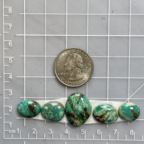 Small Sea Green Mixed Fox Turquoise, Set of 5 Dimensions