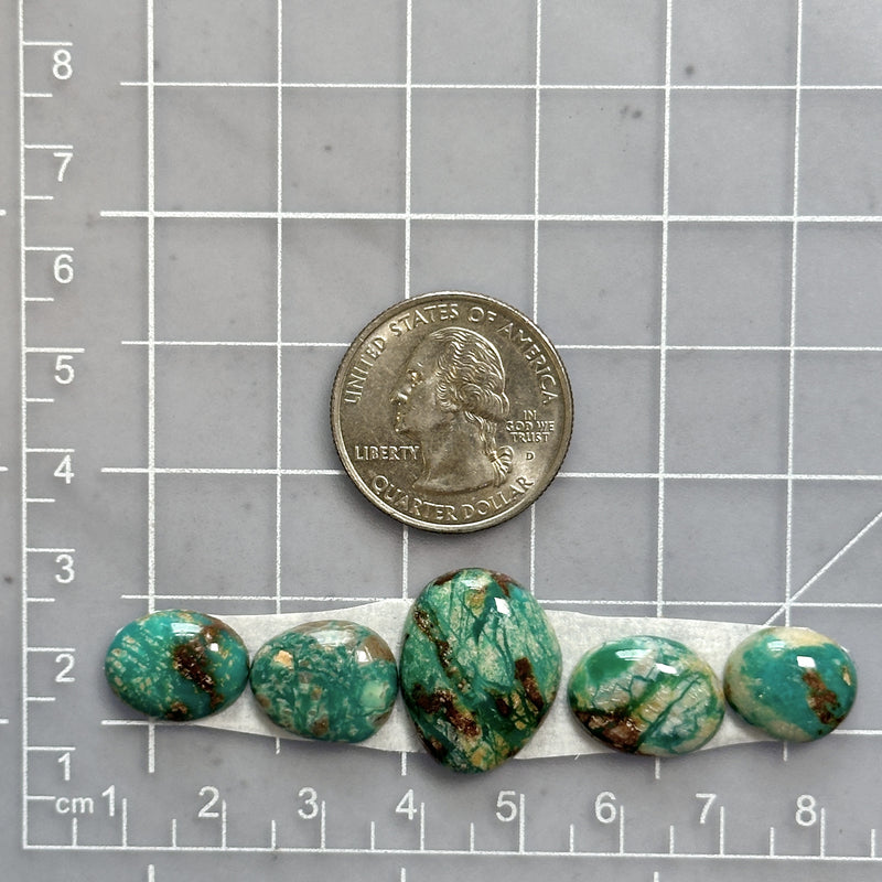 Small Sea Green Mixed Fox Turquoise, Set of 5 Dimensions