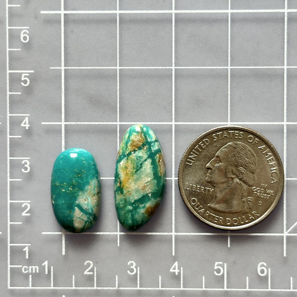 Medium Deep Green Freeform Fox Turquoise, Set of 2 Dimensions