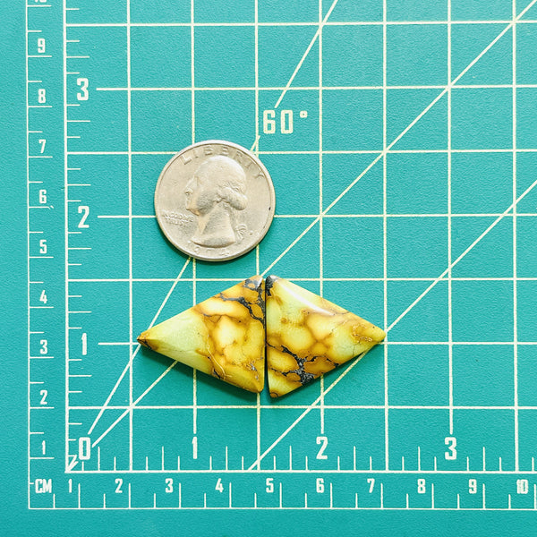 Large Sea Green Triangle Golden Birch Turquoise, Set of 2 Dimensions