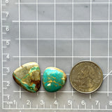 Large Sky Blue Freeform Royston Turquoise, Set of 2 Dimensions