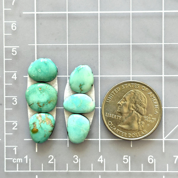 Small Faint Green Mixed Lone Mountain Turquoise, Set of 6 Dimensions