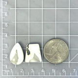 Medium White Mixed White Buffalo Dolomite, Set of 2 Dimensions