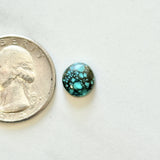 Small Sky Blue Round Lander Blue Turquoise Dimensions