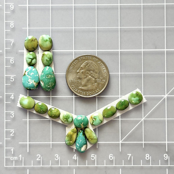 Small Lime Green Mixed Sonoran Gold Turquoise, Set of 18 Dimensions