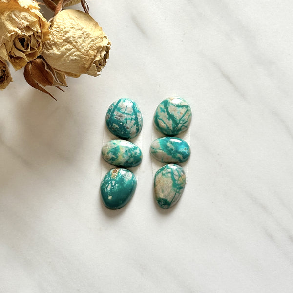 Small Deep Green Mixed Fox Turquoise, Set of 6 Background