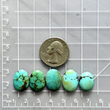 Small Mixed Oval Treasure Mountain Turquoise, Set of 5 Dimensions