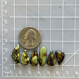 Small Mint Green Mixed Treasure Mountain Turquoise, Set of 6 Dimensions