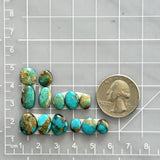 Small Mixed Mixed Royston Turquoise, Set of 13 Dimensions
