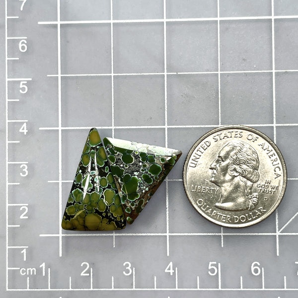 Large Bamboo Green Triangle Bamboo Mountain Turquoise, Set of 2 Dimensions