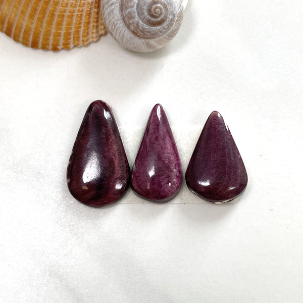 Medium Purple Teardrop Spiny Oyster, Set of 3 Background