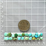 Small Mixed Mixed Lone Mountain Turquoise, Set of 23 Dimensions