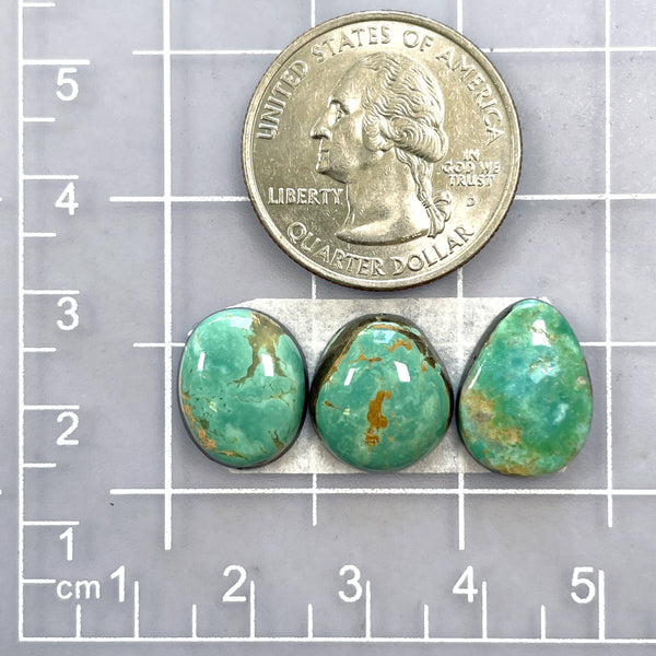 Small Sea Green Freeform Tyrone Turquoise, Set of 3 Dimensions