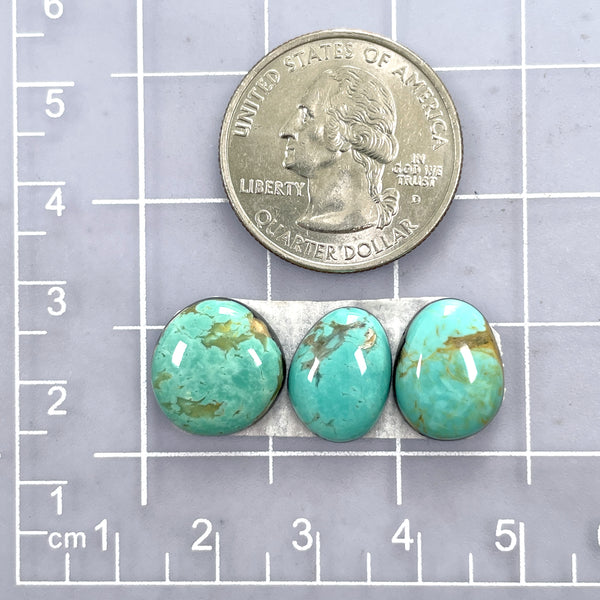 Small Mint Green Freeform Tyrone Turquoise, Set of 3 Dimensions