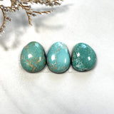 Small Mixed Freeform Carico Lake Turquoise, Set of 3 Background