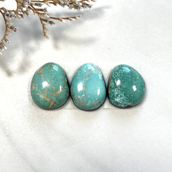 Small Mixed Freeform Carico Lake Turquoise, Set of 3 Background