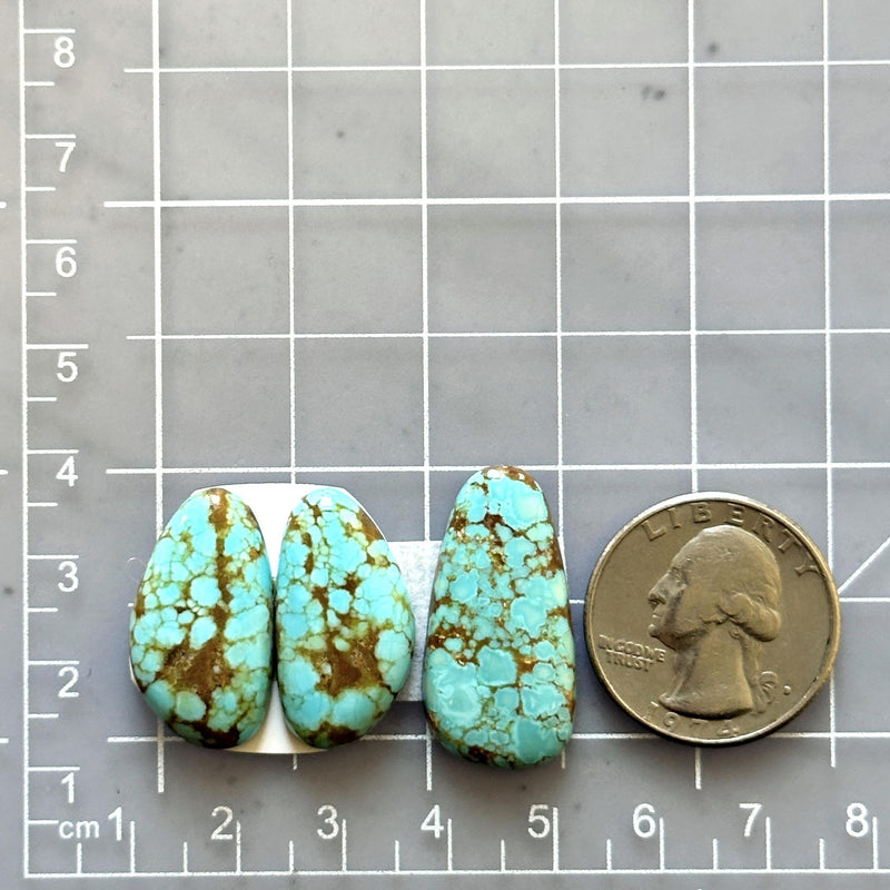 Medium Sky Blue Freeform Number 8 Turquoise, Set of 3 Dimensions