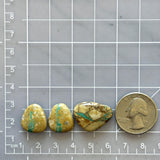 Medium Sky Blue Freeform Royston Turquoise, Set of 3 Dimensions