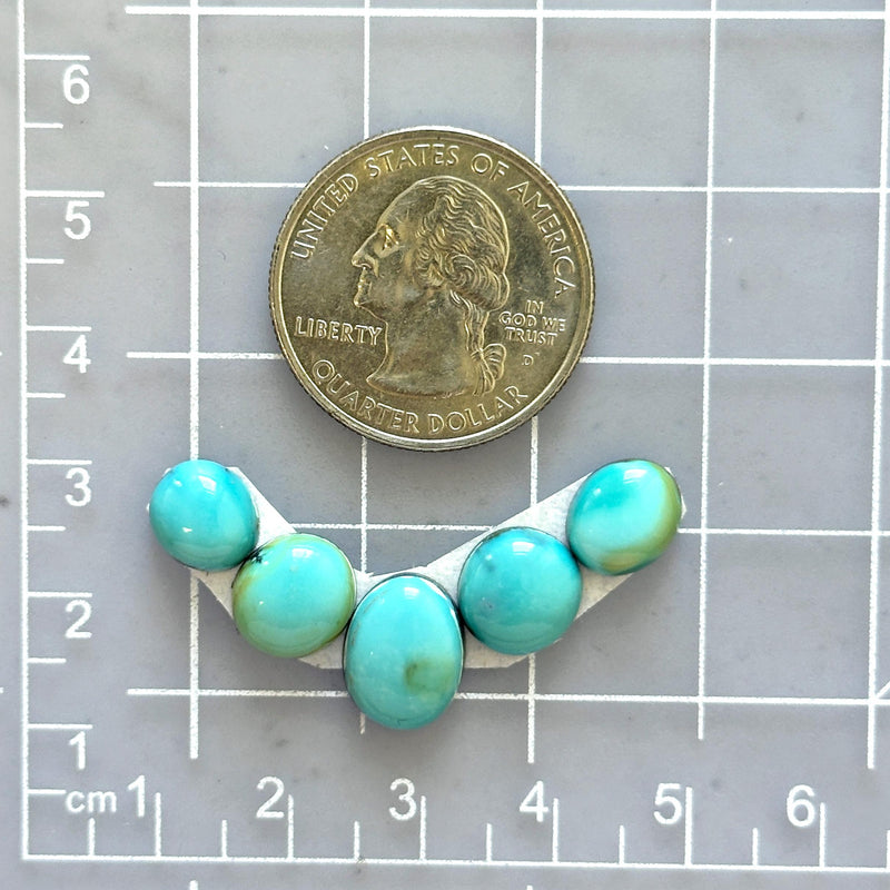 Small Sky Blue Mixed Kingman Turquoise, Set of 5 Dimensions