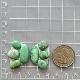 Small Mint Green Mixed Broken Arrow Variscite, Set of 8 Dimensions
