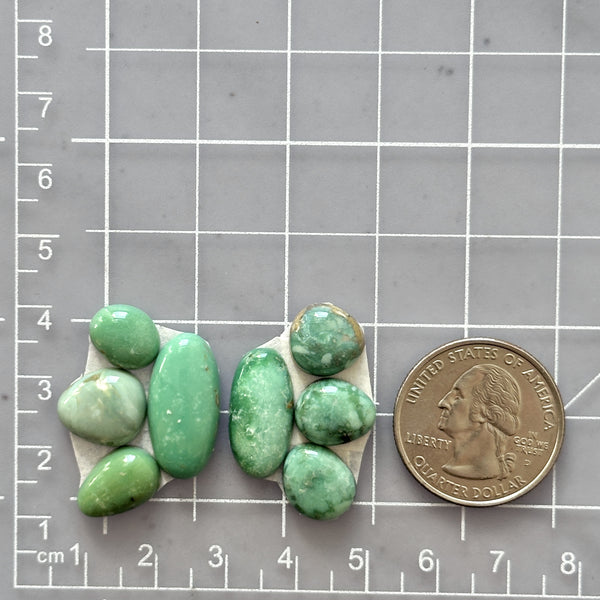 Small Mint Green Mixed Broken Arrow Variscite, Set of 8 Dimensions