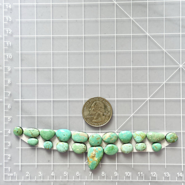 Small Faint Green Freeform Pilot Mountain Turquoise, Set of 20 Dimensions