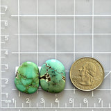 Large Bamboo Green Freeform Bamboo Mountain Turquoise, Set of 2 Dimensions