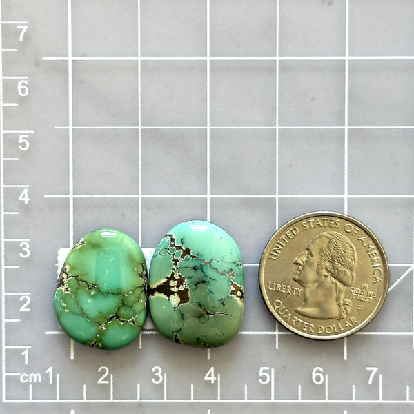 Large Bamboo Green Freeform Bamboo Mountain Turquoise, Set of 2 Dimensions