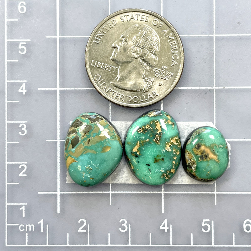 Small Sea Green Freeform Carico Lake Turquoise, Set of 3 Dimensions