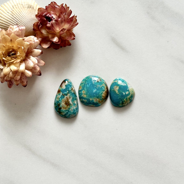 Small Sky Blue Mixed Fox Turquoise, Set of 3 Background