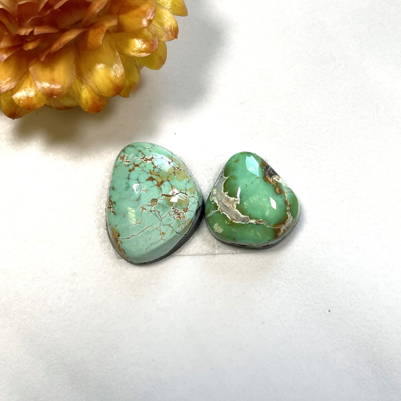 Small Mint Green Freeform Carico Lake Turquoise, Set of 2 Background