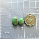 Medium Bamboo Green Oval Bamboo Mountain Turquoise, Set of 2 Dimensions