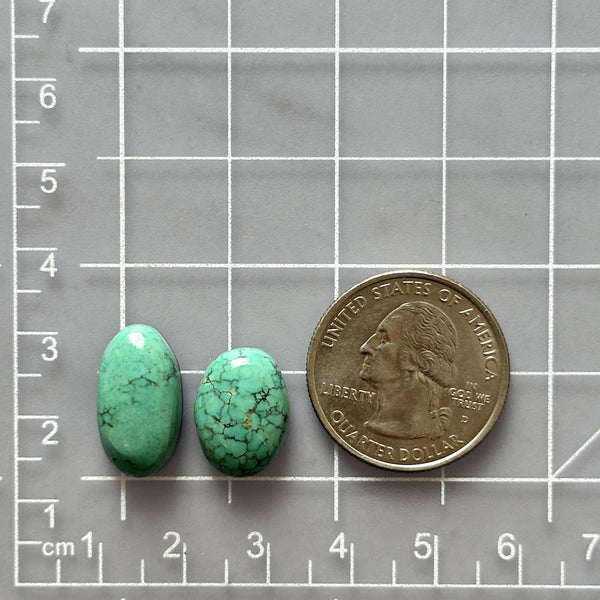 Medium Lime Green Oval Namtso Lake Turquoise, Set of 2 Dimensions