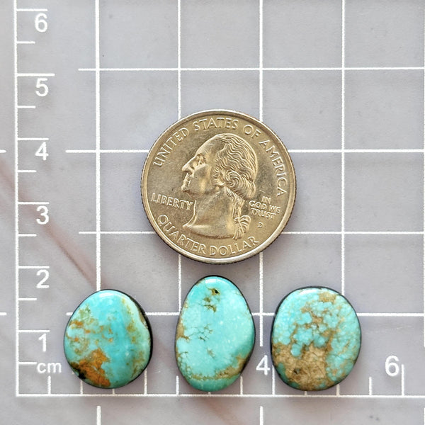 Medium Sky Blue Freeform Number 8 Turquoise, Set of 3 Dimensions