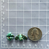 Small Sea Green Mixed Namtso Lake Turquoise, Set of 5 Dimensions