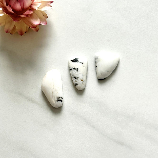 Medium White Freeform White Buffalo Dolomite, Set of 3 Background