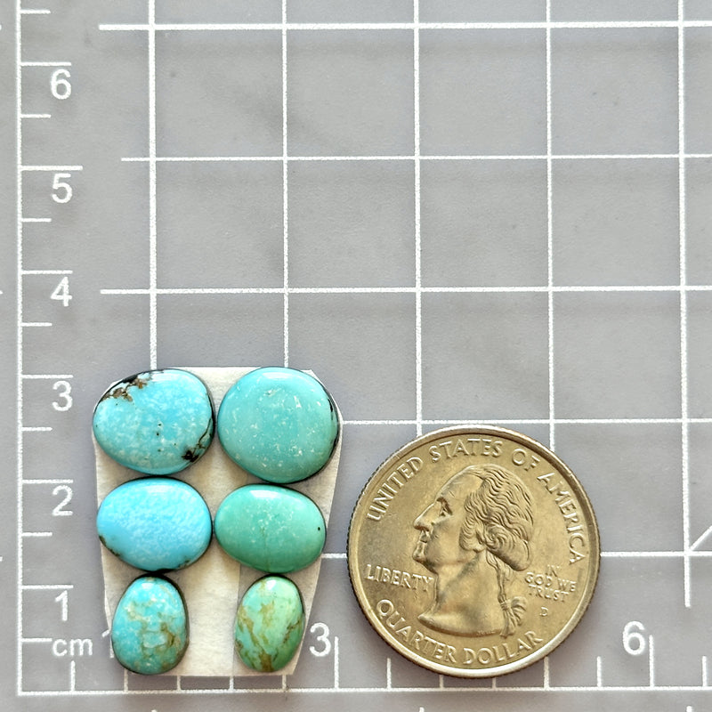 Small Sky Blue Freeform Pilot Mountain Turquoise, Set of 6 Dimensions