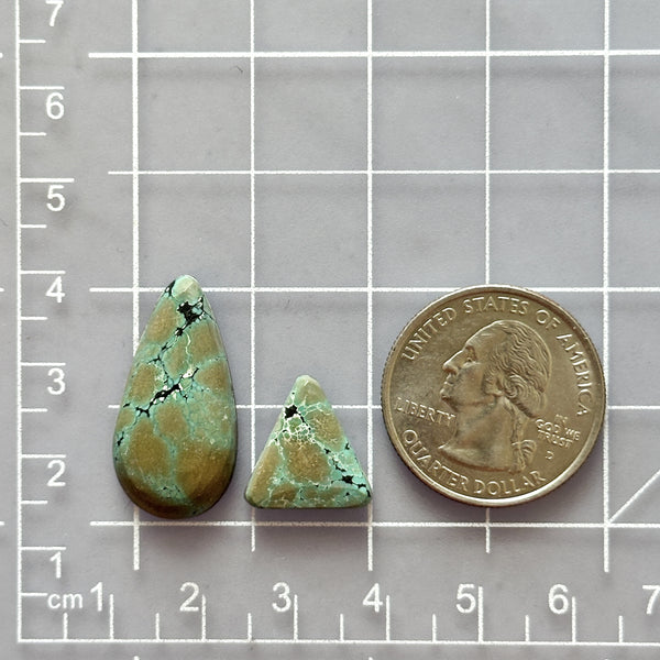 Medium Sea Green Mixed Giraffe Turquoise, Set of 2 Dimensions