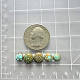 Small Sky Blue Round Number 8 Turquoise, Set of 5 Dimensions