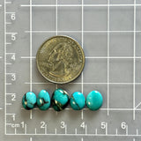 Small Sky Blue Mixed Yungai Turquoise, Set of 5 Dimensions