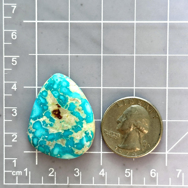 Large Sky Blue Freeform Royston Turquoise Dimensions