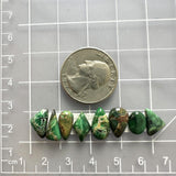 Small Mixed Mixed Mixed Turquoise, Set of 8 Dimensions